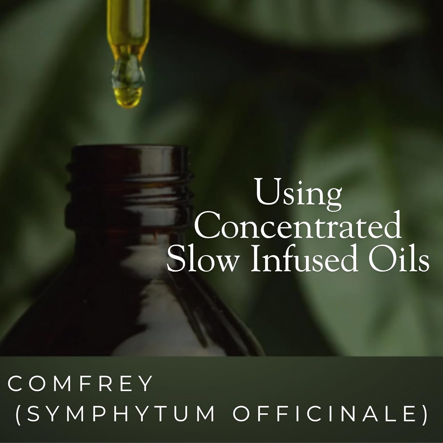 SSF Organics Natural Relief and Recovery Comfrey Salve 2oz - Topical Healing for Muscles, Joints and Skin - Preferred by Runners, Post Workout, Healing, Skin Repair